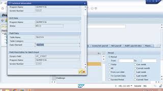 How to see technical information of any field on SAP screen [upl. by Skinner]