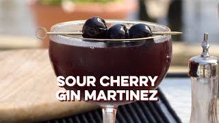 Sour Cherry Gin Martinez  How to Drink [upl. by Moclam]