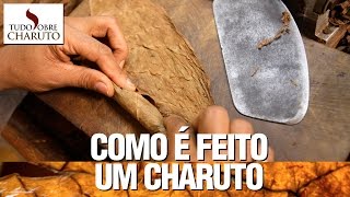 Como é feito um charuto  Tudo Sobre Charuto [upl. by Shea]