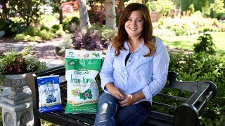 How Iron Tone Can Help Plants Grow [upl. by Feeley868]