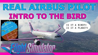 Flybywire A32NX adds the Bird Tutorial with a Real Airbus Pilot [upl. by Bobseine]