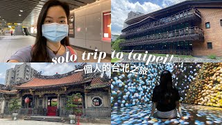 Solo Trip to Taipei  Taiwan Vlog [upl. by Neidhardt]