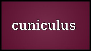 Cuniculus Meaning [upl. by Eiznil]