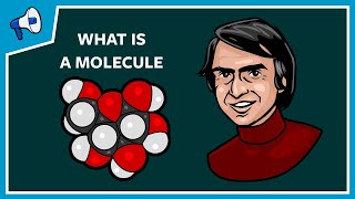 What Is a Molecule [upl. by Acinaj]