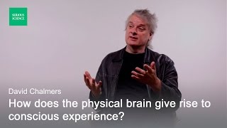 Hard Problem of Consciousness — David Chalmers [upl. by Jezabel]