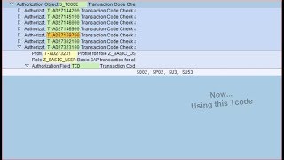 How Do I Check Authorization TCODE SAP [upl. by Kcaj]