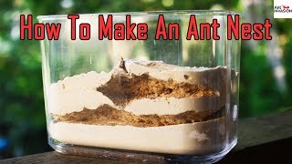 How To Make An Ant FarmNestFormicarium [upl. by Thalia]