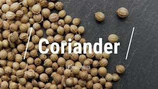 🔵 All About Coriander Seed [upl. by Wesa788]