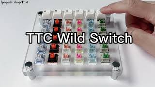 TTC Switches Sound Test [upl. by Ardnuassak50]