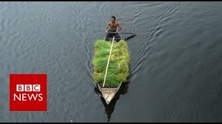 The Floating Farms of Bangladesh  BBC News [upl. by Nodyarg]