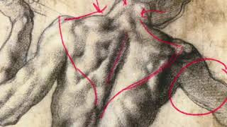 ART HISTORY amp DRAWING 15 MINUTES with MICHELANGELO [upl. by Grover]