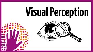 Visual Perception – How It Works [upl. by Hickey]