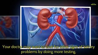 Blood test eGFR  Kidney disease tests [upl. by Greenebaum]