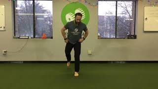 Split Squat and Lunge Jumps [upl. by Novehs]