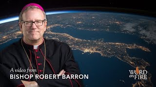 Bishop Barron on Creation [upl. by Iveksarap]