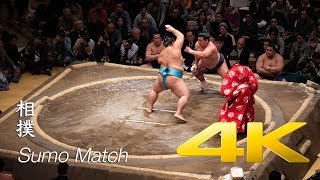 Sumo Match  Tokyo  相撲 [upl. by Eniamart]