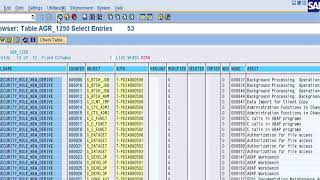 SE16 tcode in SAP [upl. by Mouldon608]