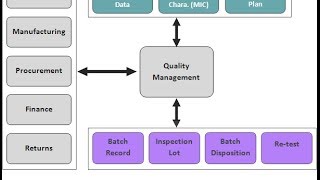 SAP QM Transaction Codes Quality Management Module Tcodes [upl. by Lightfoot]