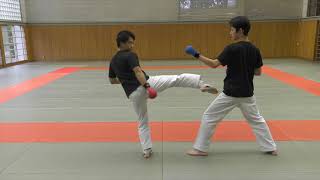 【KARATE TUTORIAL】Kumite Tactics Against Bigger Opponents [upl. by Lanoil588]