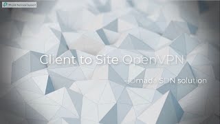 Omada SDN VideoHow to configure Client to Site OpenVPN on TPLink Omada SDN Controller [upl. by Akimas629]