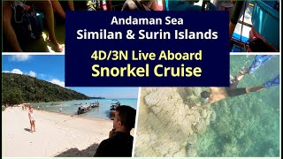 Snorkeling Tour  Similan amp Surin Islands Thailand [upl. by Noimad]