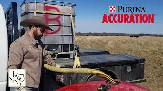 7 Benefits of Purina Accuration Liquid Feed [upl. by Oivalf470]