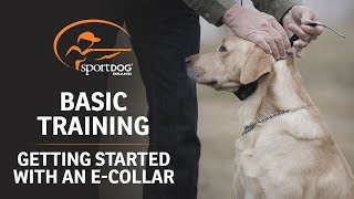 Basic Training  Getting Started with an ECollar [upl. by Endo]