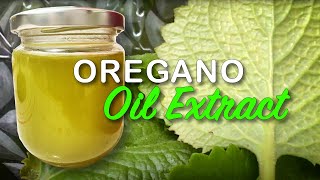 How to Make Oregano Oil From Oregano Leaves [upl. by Yentrac]