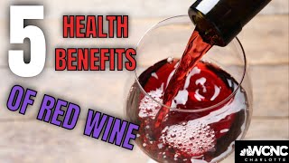 5 health benefits to drinking red wine  National Wine Day [upl. by Rehctelf536]