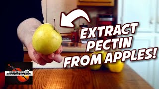 Extract Your Own PECTIN From APPLES Homemade Pectin Recipe  Kitchen Instruments [upl. by Devaj]