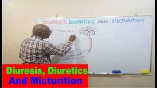 Diuresis Diuretics and Micturition [upl. by Nauwtna]