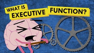 What is Executive Function and Why Do We Need it [upl. by Nalyorf601]