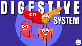 Digestive System Ingestion to Egestion Explained in Simple Words [upl. by Anaeerb969]