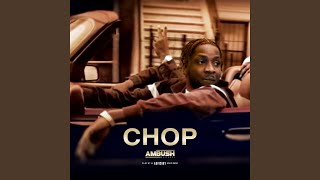 Chop [upl. by Wasson]