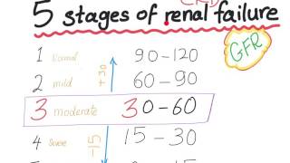 Mnemonic the 5 Stages of chronic kidney disease based on GFR [upl. by Eedyak]