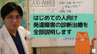 第二部各論 第１章11節 発達障害の診断治療について、全ての流れを説明します【精神科医・益田裕介早稲田メンタルクリニック】 [upl. by Naelcm]