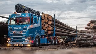 SCANIA R650 V8 NEXTGEN 🚚💨🌲 GRUMIER TRANSPORTS TOUMATRA [upl. by Menashem]