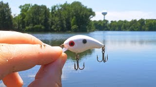 TINY Lure Challenge  Ep1 Mini Crankbait [upl. by Einreb]