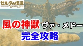 風の神獣ヴァ・メドーを完全攻略！ ゼルダの伝説 ブレスオブザワイルド [upl. by Pandich318]