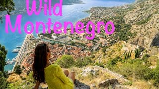 Montenegro Travel Highlights [upl. by Hopfinger]