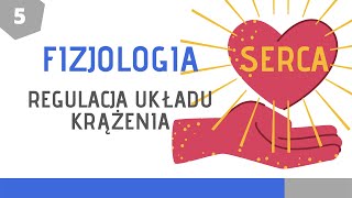 Fizjologia układu krążenia cz 5 Regulacja układu krążenia [upl. by Enajiram]