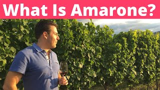 Amarone  What is it [upl. by Antoinetta]