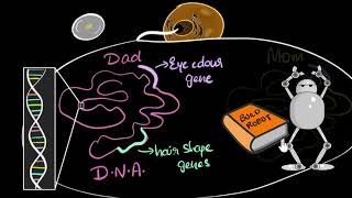 Genetics  Understanding Crosses  Lesson 6  Dont Memorise [upl. by Enrica]