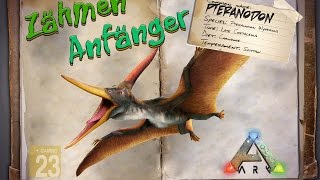 ARK‬ Survival Evolved GUIDEDeutsch  Pteranodon zähmen  für Anfänger [upl. by Coumas]