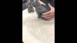 Creating a hollow animal clay [upl. by Colet939]