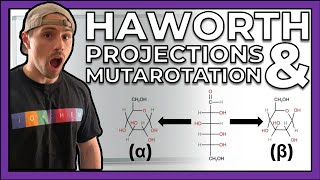 Haworth Projections amp Mutarotation with Examples [upl. by Quigley255]