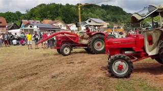 Güldner Treffen Dammbach 2019🚜 [upl. by Enaitsirk]