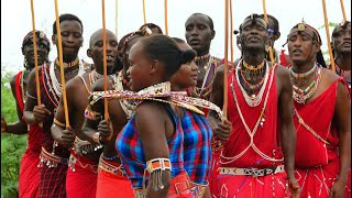 Maasai Footsteps Show  Traditional Maasai dance and Songs rhythmic Maasai deep humming [upl. by Susi478]