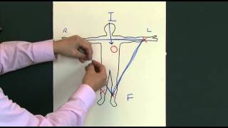 12 Lead EKG ECG [upl. by Delfeena]