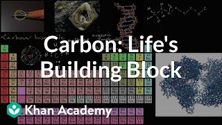 Carbon as a building block of life  Properties of carbon  Biology  Khan Academy [upl. by Arutnev]